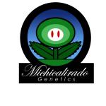 Logo Michicalirado